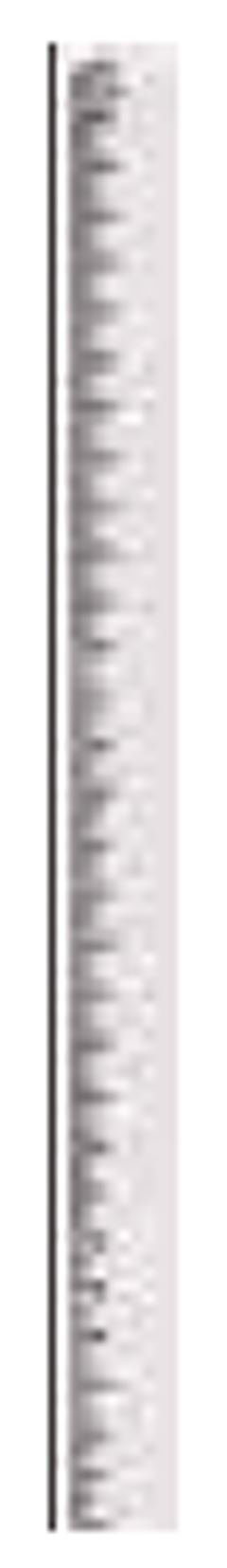 Regua Waleu 30cm Cristal