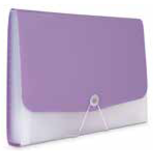 Pasta Sanfonada Polibras 31 Divisas A4 Cristal