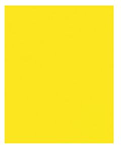 Eva Dubflex Liso Amarelo Escuro 005 40x47