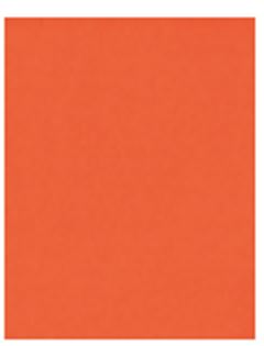 Eva Dubflex Liso Laranja 009 40x47