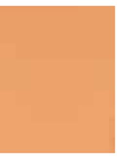 Eva Dubflex Liso Bege Pele 017 40x47