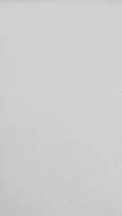 Tnt Dubflex Branco 601 40g 1,40x50m