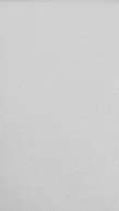 Tnt Dubflex Branco 601 40g 1,40x50m