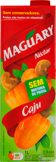 Suco Maguary Caju Tp 1l