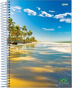 Caderno Jandaia Brasilidade 1/4 Cf Esp 48fls