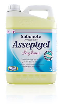 Sabonete Liquido Asseptgel Sem Aroma 5l