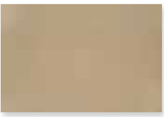 Papel Carmem Reipel Champ 48x66
