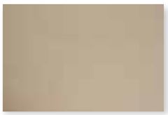 Papel Cartao Reipel Champanhe 48x66