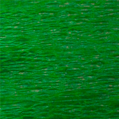 Papel Crepom Reipel Verde Bandeira