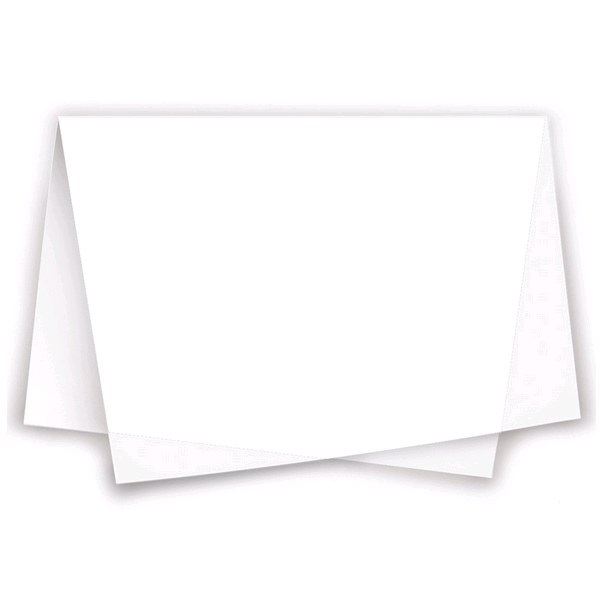 Papel Seda Reipel Branco 48x60