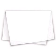 Papel Seda Reipel Branco 48x60