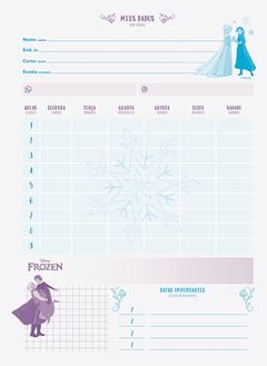 Caderno Jandaia Universitario Frozen Cd 10m 160fls