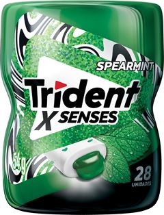 Chicle Trident Menta Pote 54g