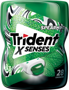 Chicle Trident Menta Pote 54g