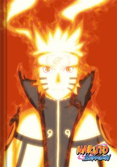 Caderno Animativa Universitario Naruto Cd Cost 80fls