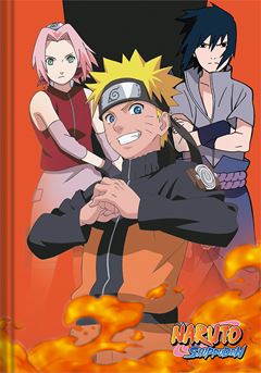 Caderno Animativa Universitario Naruto Cd Cost 80fls