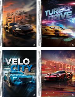 Caderno Animativa Universitario Silver Cd 1m 80fls