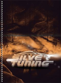 Caderno Animativa Universitario Silver Cd 10m 160fls