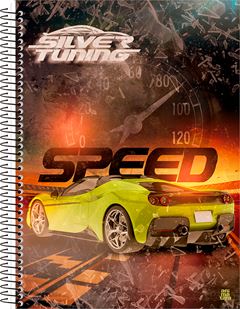 Caderno Animativa Universitario Silver Cd 15m 240fls