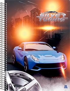 Caderno Animativa Universitario Silver Cd 15m 240fls