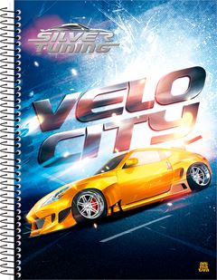 Caderno Animativa Universitario Silver Cd 15m 240fls