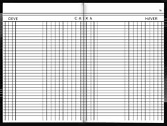 Livro Caixa Animativa 100fls