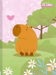 Agenda Animativa Aluno Cd Cost Permanente 64fls