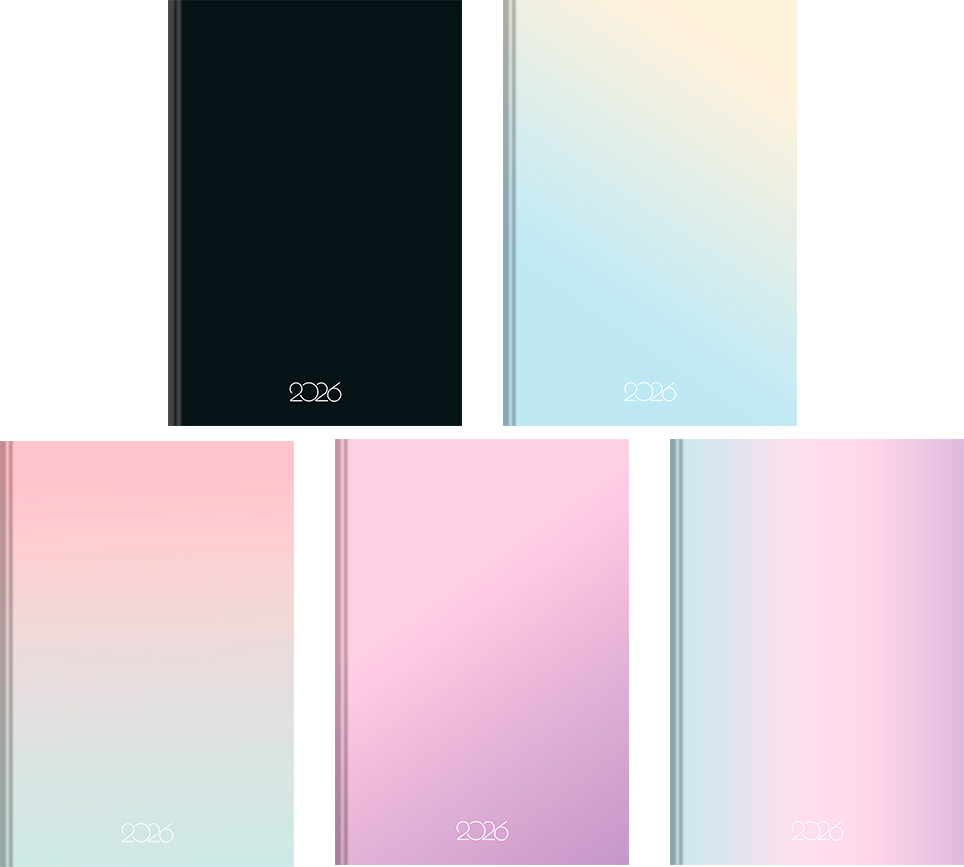 Agenda Animativa Percalux Cost Cd Anual 160fls