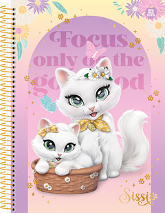 Caderno Animativa Universitario Sissi Cd 15m 240fls