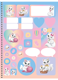 Caderno Animativa Universitario Sissi Cd 15m 240fls