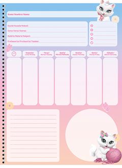 Caderno Animativa Universitario Sissi Cd 15m 240fls