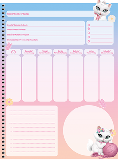 Caderno Animativa Universitario Sissi Cd 15m 240fls