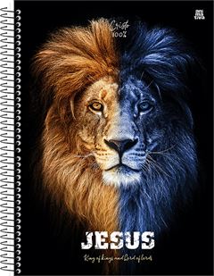 Caderno Animativa Universitario Cristo Cd 10m 160fls
