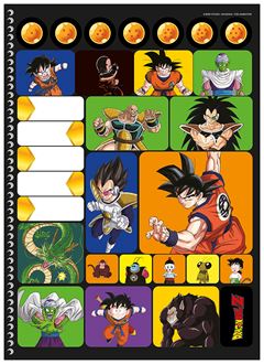 Caderno Animativa Universitario Dragon Ball Cd 15m 240fls