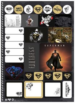 Caderno Animativa Universitario Superman Cd 1m 80fls