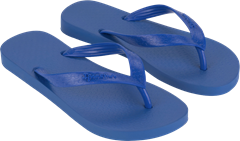 Sandalia Ipanema Classica Fem Adulto Azul/Azul
