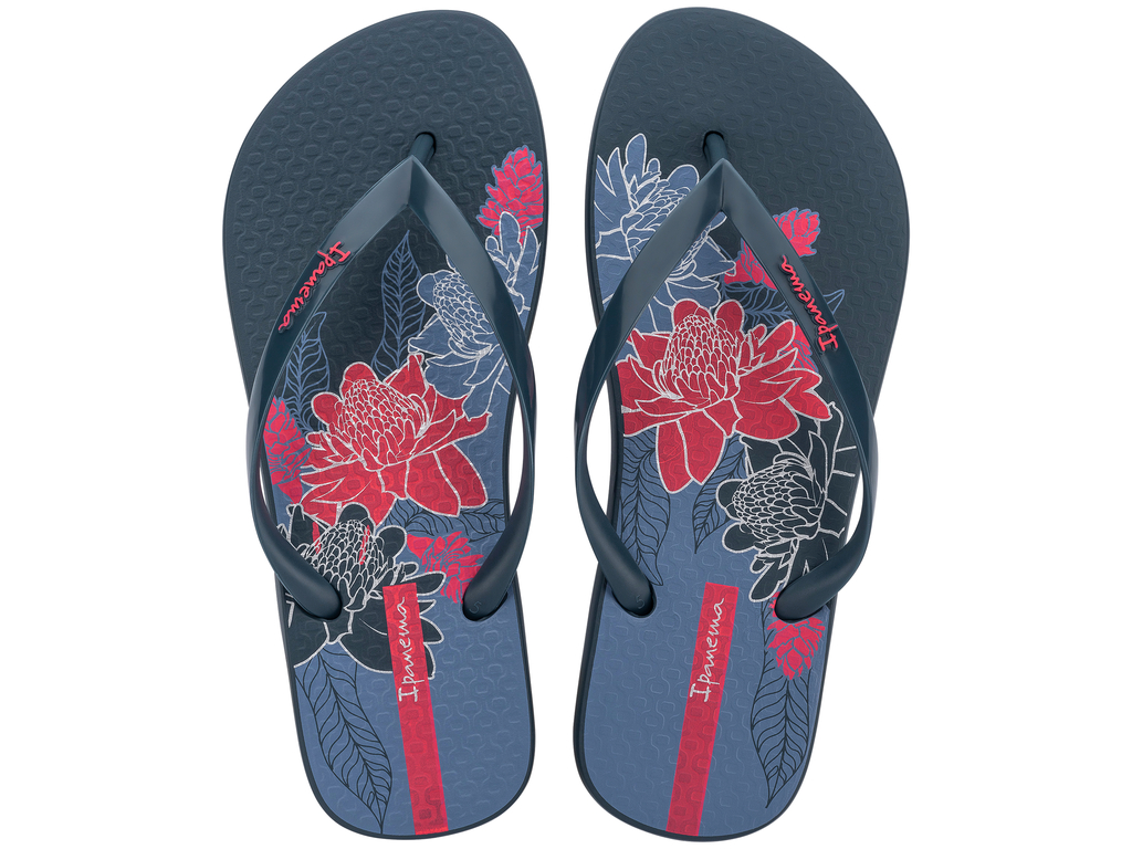 Sandalia Ipanema Orla Fem Adulto Azul/Rosa