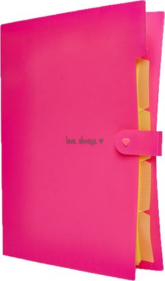 Pasta Sanfonada Polibras 5 Divisas A4 Neon Sortido