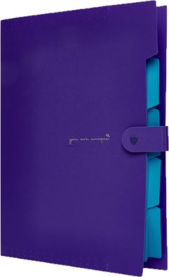 Pasta Sanfonada Polibras 5 Divisas A4 Neon Sortido