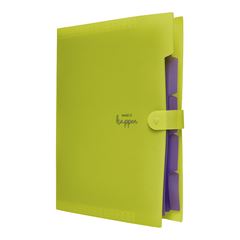 Pasta Sanfonada Polibras 5 Divisas A4 Neon Sortido