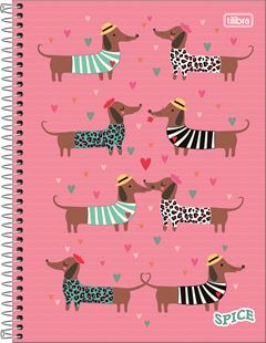 Caderno Tilibra Universitario Spice Fem Cd 10m 160fls