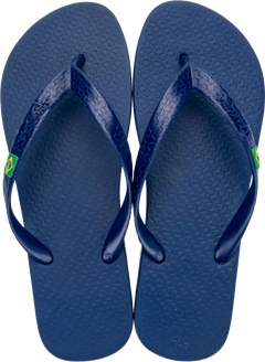 Sandalia Ipanema Brasil Masc Adulto Azul/Azul 43/44