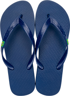 Sandalia Ipanema Brasil Masc Adulto Azul/Azul 39/40