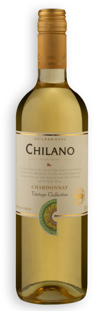 Vinho Chileno Chilano Chardonnay Branco 750ml