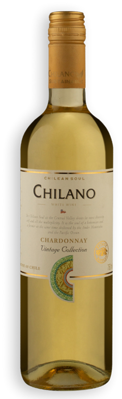 Vinho Chileno Chilano Chardonnay Branco 750ml