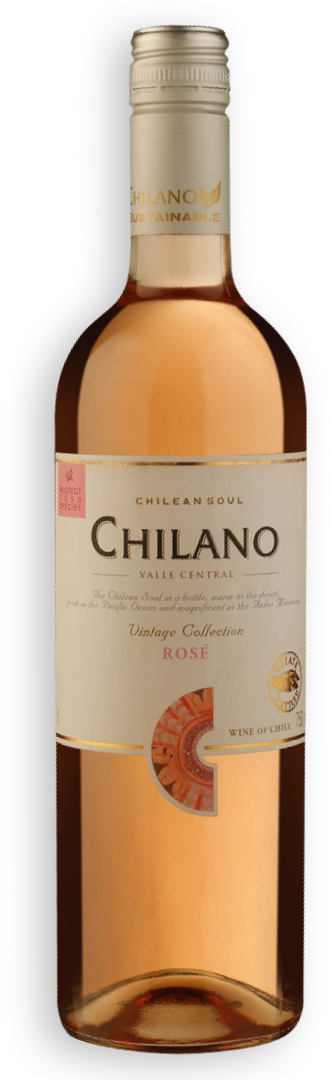 Vinho Chileno Chilano Rose 750ml