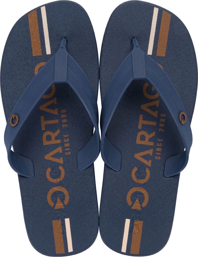 Sandalia Cartago Atlanta Masc Adulto Azul/Azul/Bege