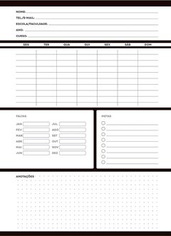 Caderno Inteligente Disco Kit Stylus Cd 10m 160fls