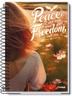 Caderno Credeal Universitario Comfy Cd 20m 280fls