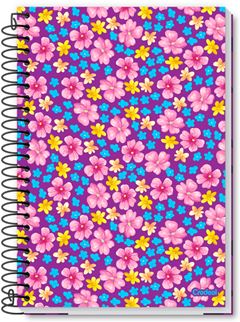 Caderno Credeal Universitario D' Tales Cd 1m 80fls